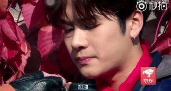 吃瓜娱乐圈王嘉尔,瓜田里的娱乐圈明星