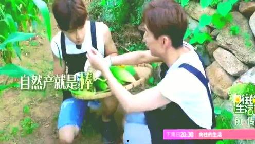 吃瓜星娱乐趣人趣事儿,趣人趣事儿大揭秘