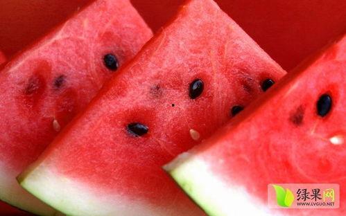 娱乐吃瓜菌医院,揭秘娱乐圈背后的医疗秘密